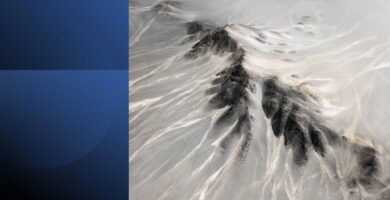 Sales professional building habits, mindset, and strategies to achieve consistent performance and long-term success.